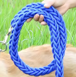 Paracord dog collar and leash