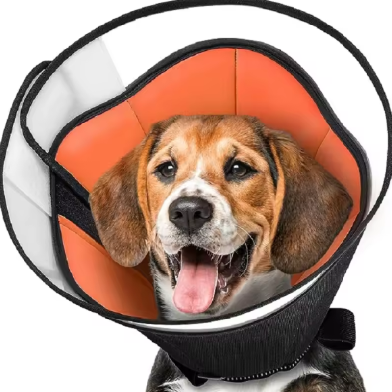 Soft dog recovery collar