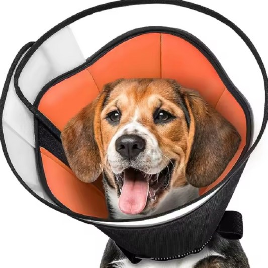 Soft dog recovery collar