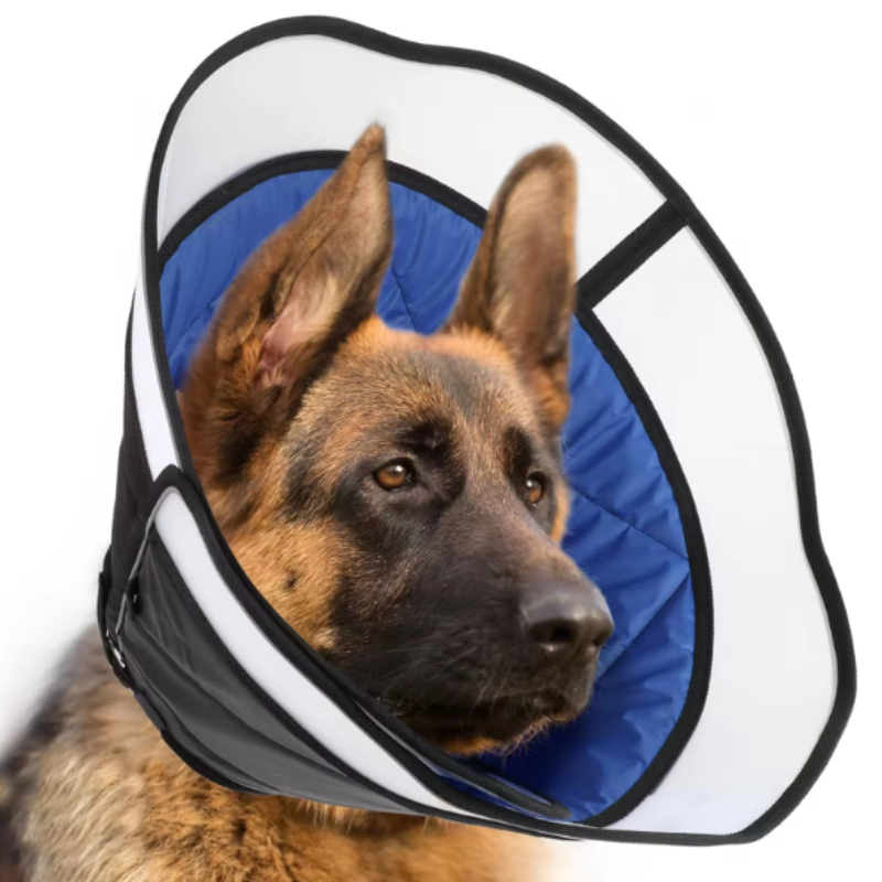 Large dog recovery collar