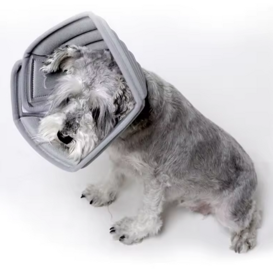 Dog anti scratch collar