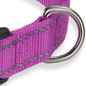 Purple reflective dog collar
