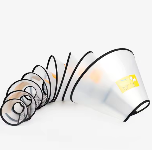 Small dog elizabethan collar