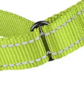Green martingale dog collar
