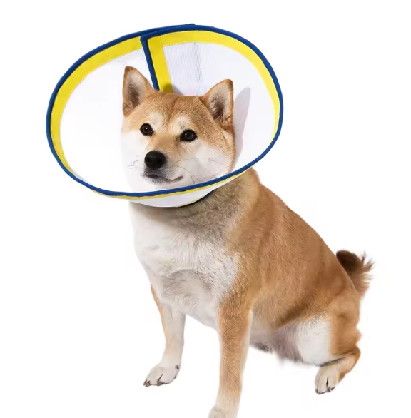Dog cone recovery collar