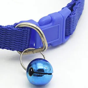 Dog flower collar wedding