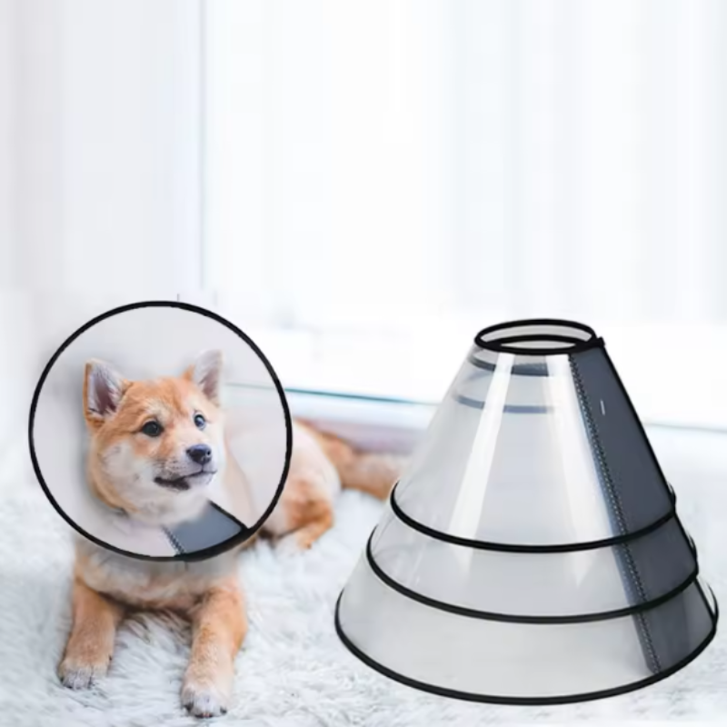Plastic dog cone collar
