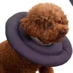 Comfortable dog cone collar
