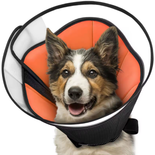 Comfy dog cone collar