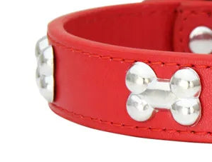 Red leather dog collar with bones