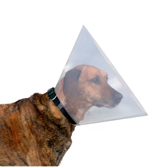 Large dog cone collar