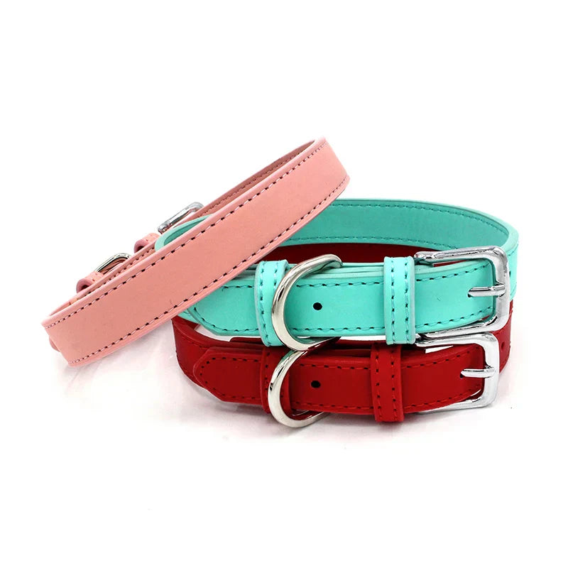How to treat dog collar rash