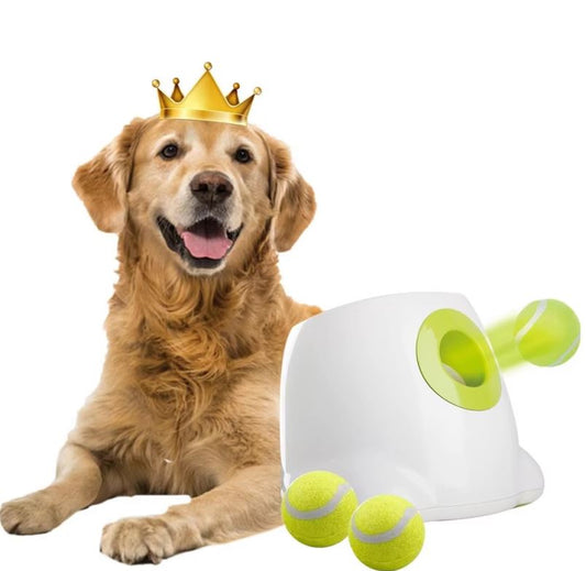 Dog ball launchers