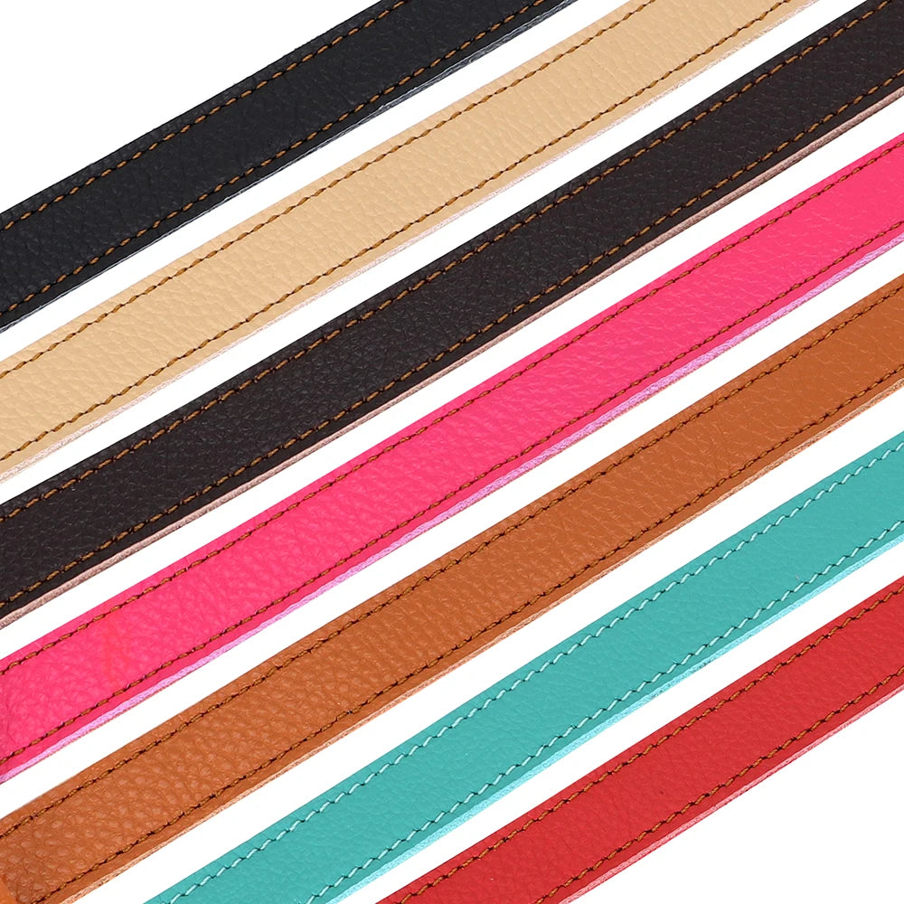 Understanding Dog Collar Colors: What Each Color Means – Lovedogcollar