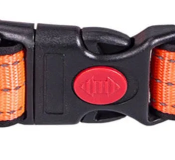 Night glow dog collar