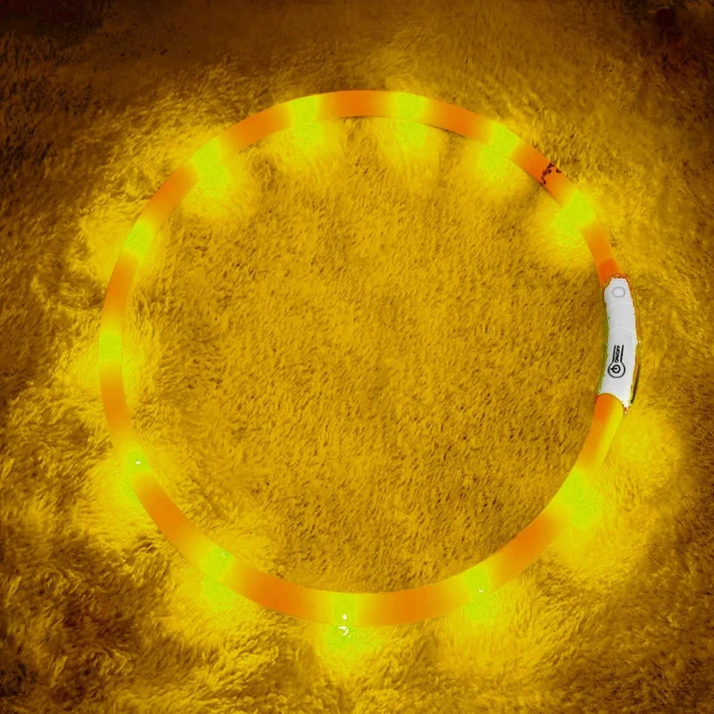 Bright dog collar