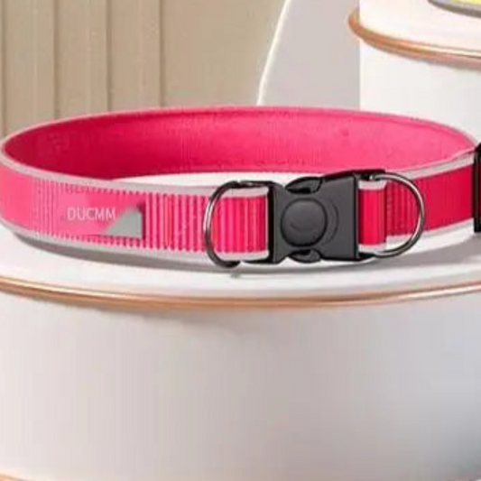 Night time dog collar