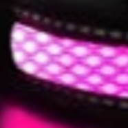 Bright dog collar