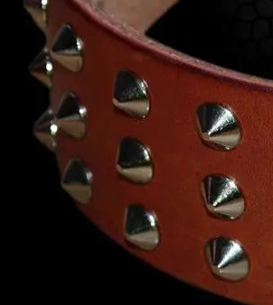 Leather studded dog collar