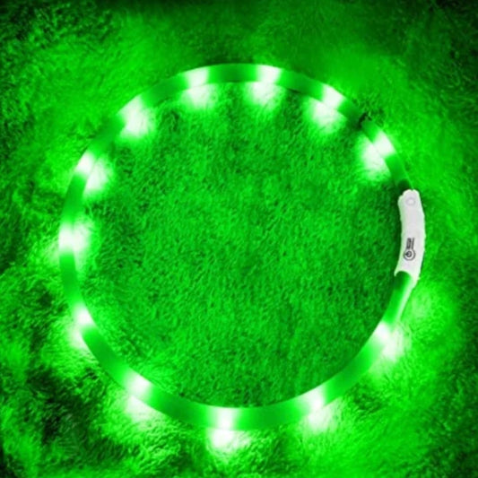 Bright green dog collar