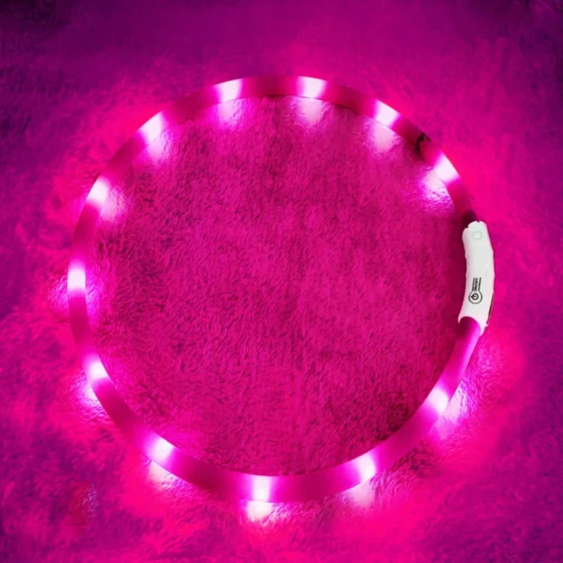 Glowing dog collars